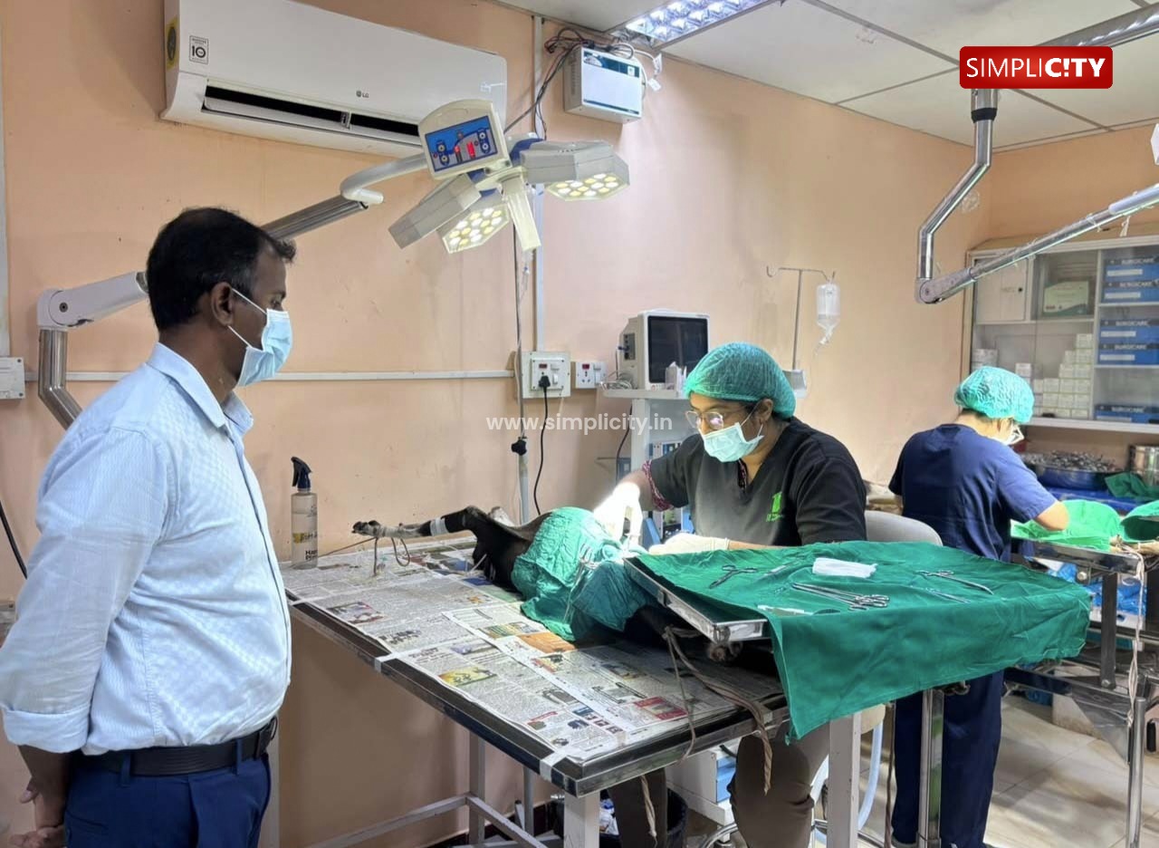 கோவையில் மாநகராட்சி சார்பில் 47,000 சமூக நாய்களுக்கு கருத்தடை அறுவை சிகிச்சை