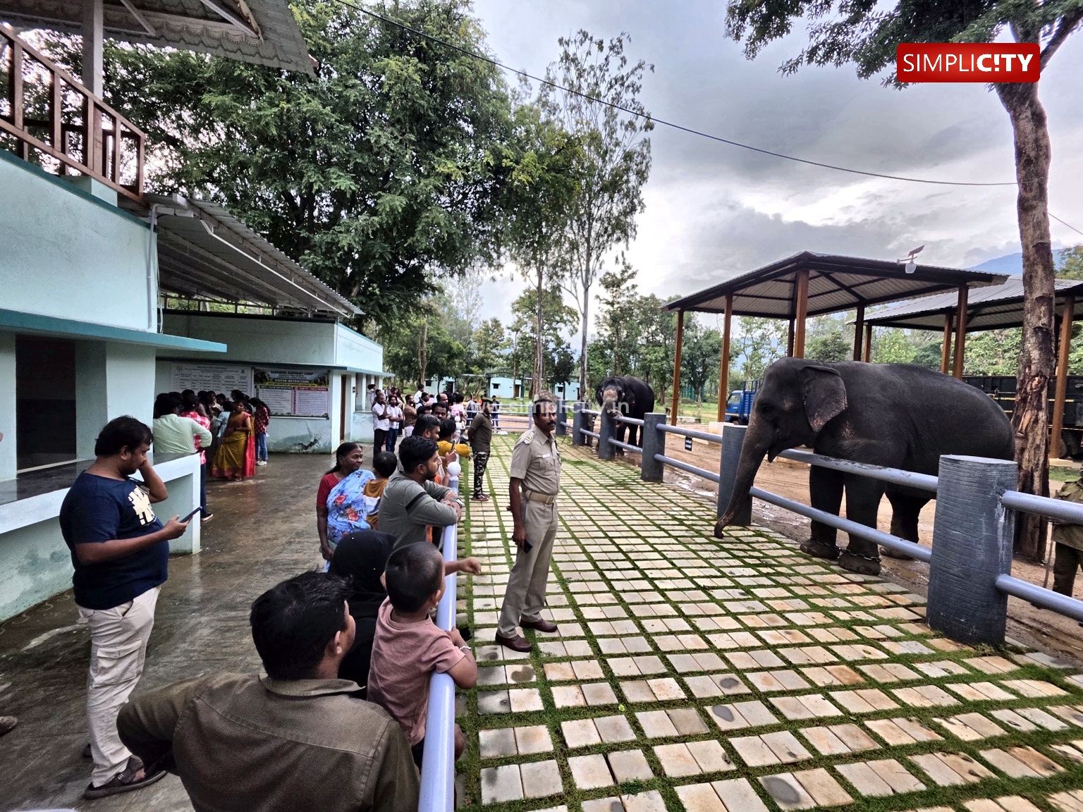 Visitors Enjoy Watching Elephants Up Close as Sadivayal Camp Opens to Public in Coimbatore