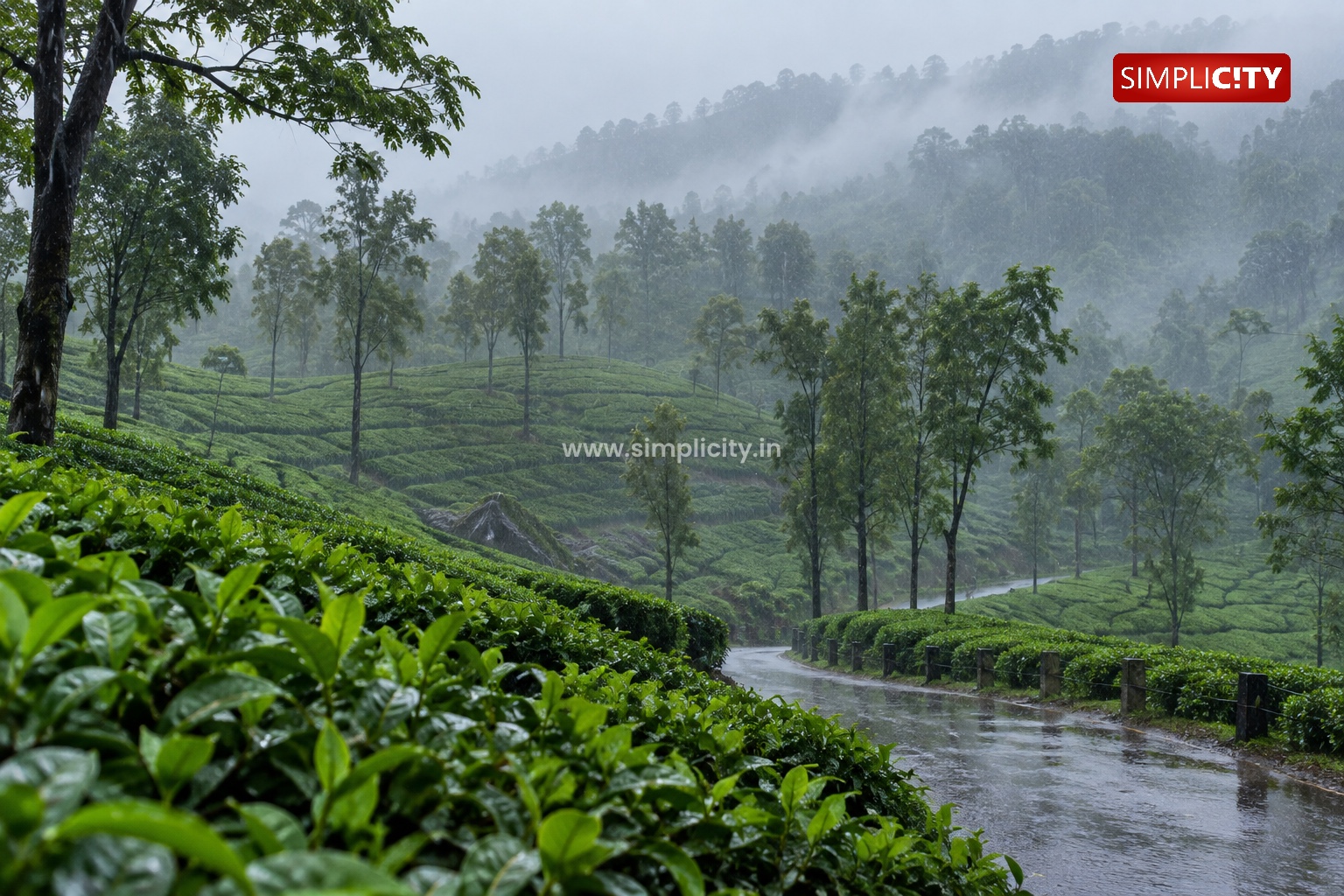 Weather Forecast Predicts Good Rains for Coimbatore Today; Valparai Receives 166 mm