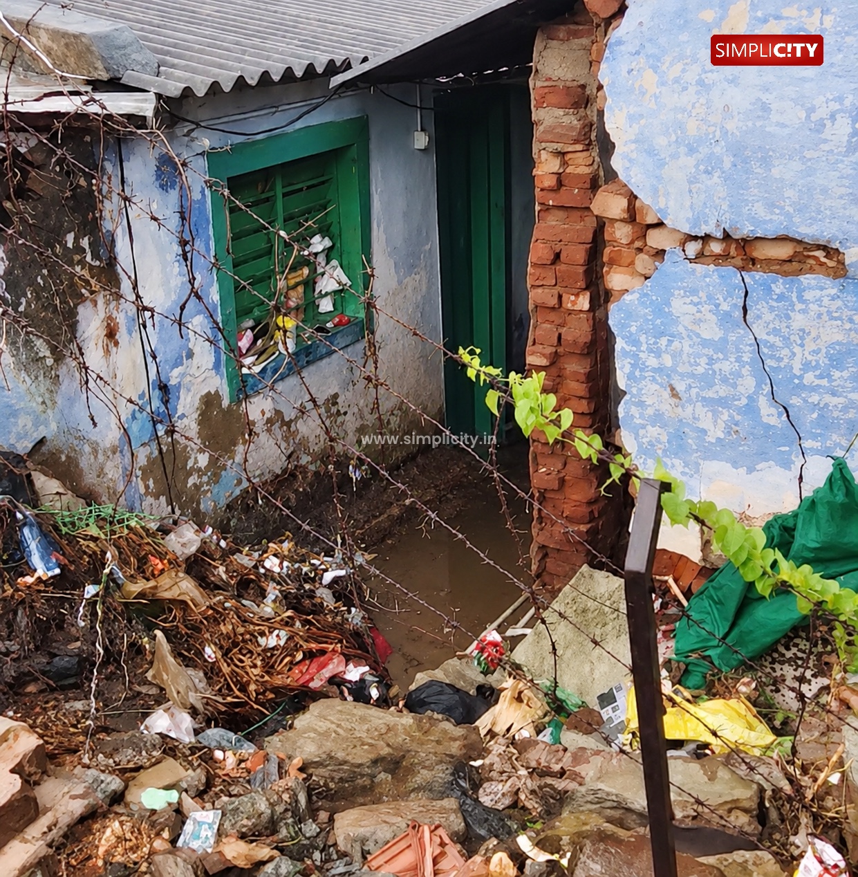 Trees Uprooted, Homes Flooded as Rain Batters Mettupalayam Region
