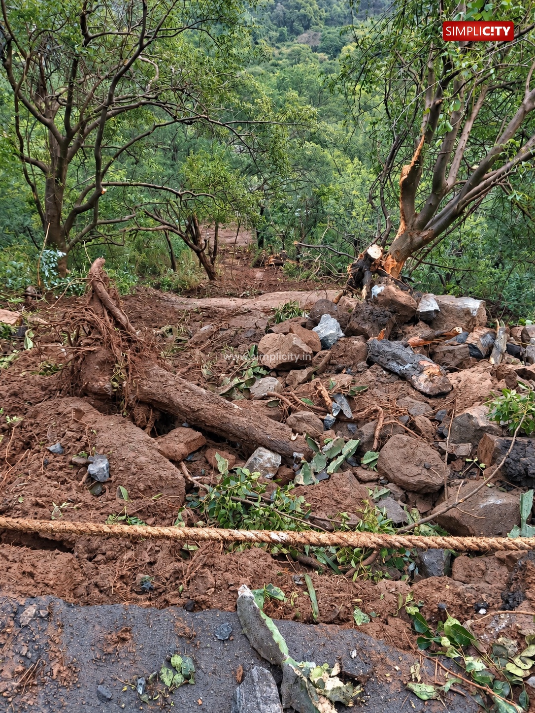 Boulder Fall: Heavy Vehicles, Including Tourist Buses, Banned on Valparai Ghat Road