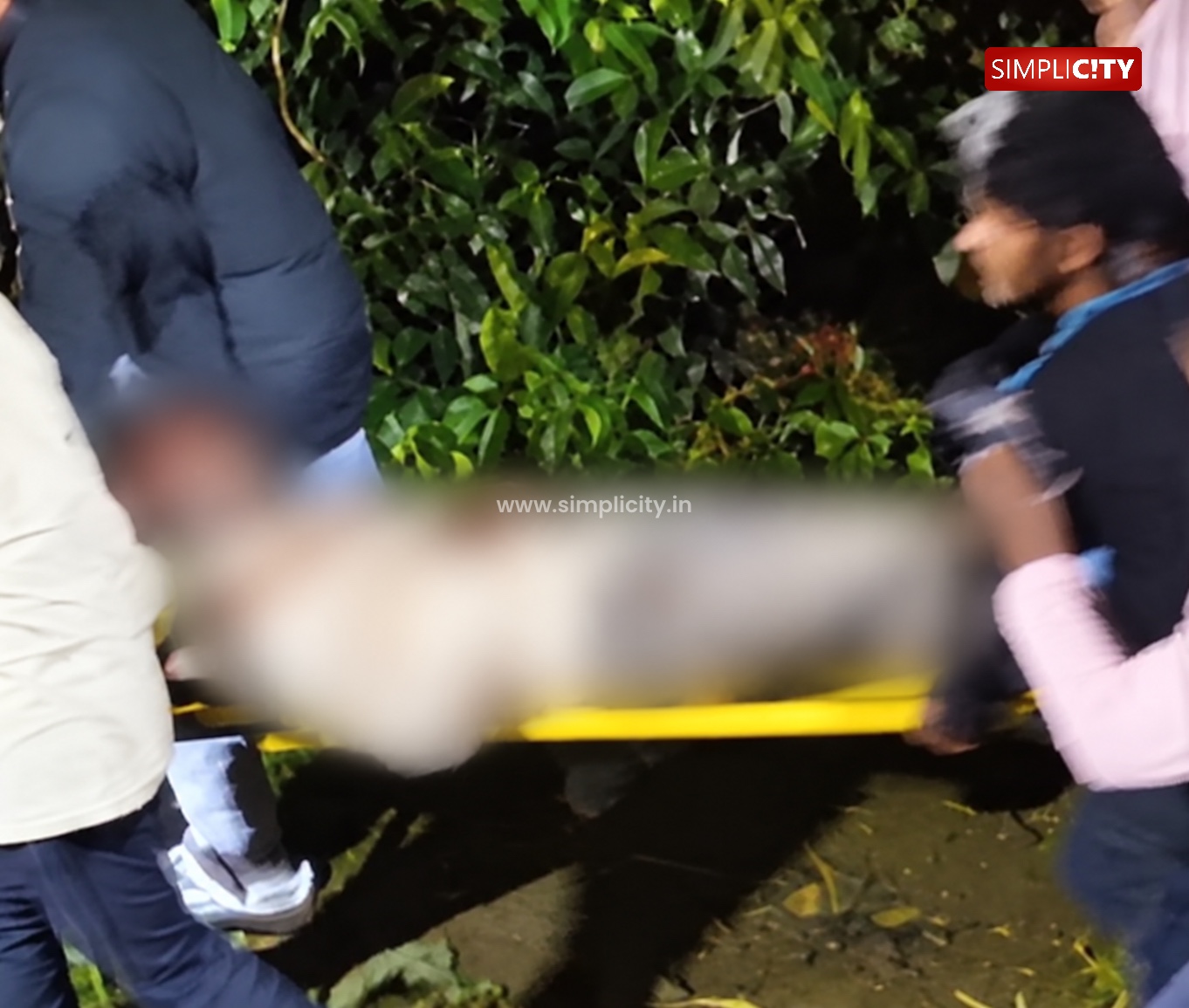 Man Critically Injured in Bear Attack Near Valparai's Pachamalai Estate