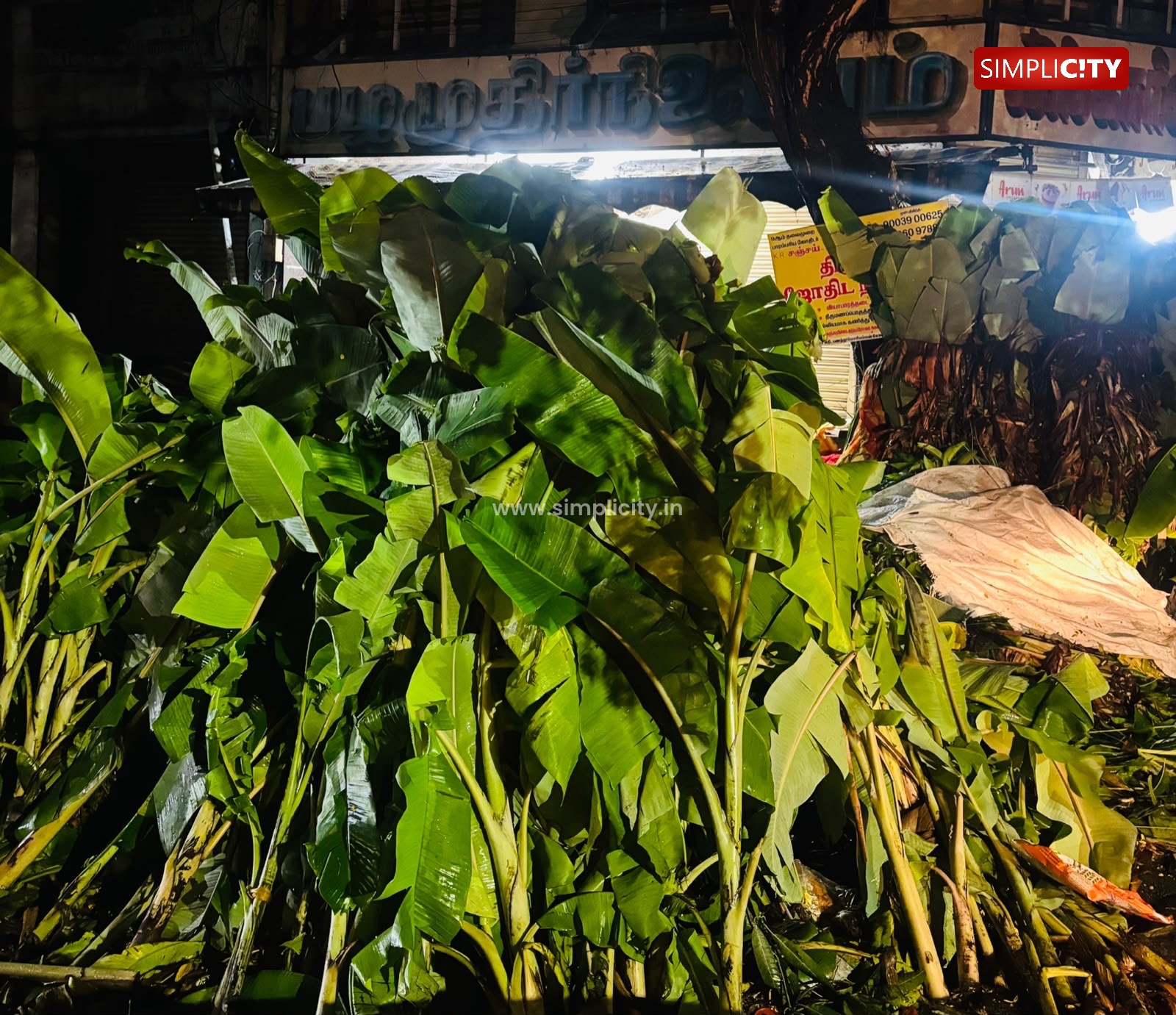 Coimbatore Rains Wash Away Ayudha Pooja Hopes for Small Traders