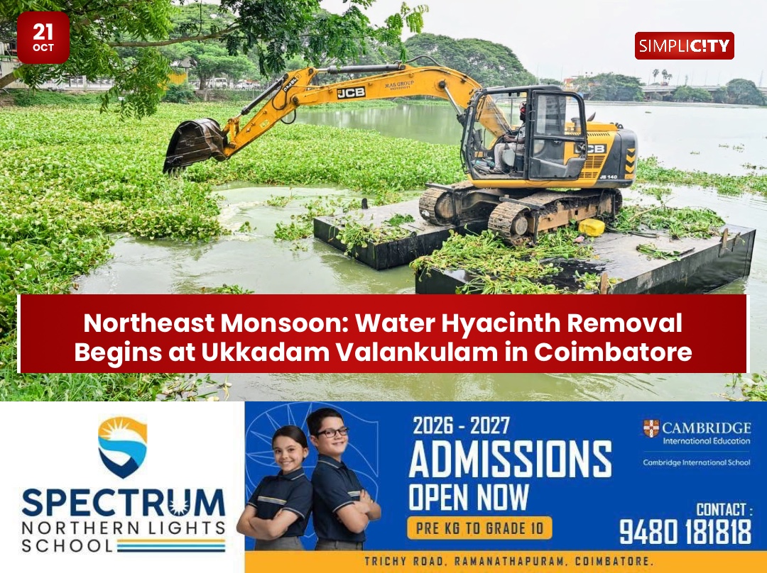 Northeast Monsoon: Water Hyacinth Removal Begins at Ukkadam Valankulam in Coimbatore — image 1
